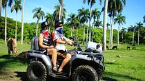 Combo : ATV Adventure & Cultural City Tour with Lunch