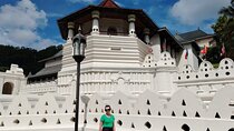 Private Kandy Day Tour: Temple of the Tooth & Lakeside Highlights
