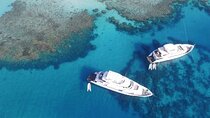 Tiran Island Full Day Boat Trip & Snorkeling from Sharm El Sheikh