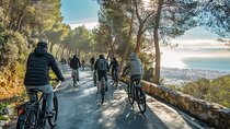 Malaga 2 Hours E-Bike Tour with Gibralfaro Forest