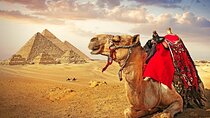 Pyramids Full Day Guided Tour & Lunch by Bus from Sharm El Sheikh