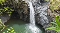 Private Road to Hana Tour with Pickup-Ultimate Package, Backside