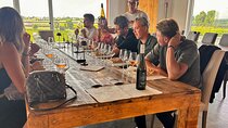 Wine Tasting with Panoramic Views of the Lazise Countryside