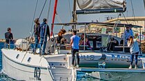 Catamaran Shared Tour by BCN with Views and Activities