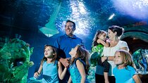 SEA LIFE Aquarium Arizona Admission Ticket