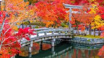 Kyoto Autumn Leaves: Eikando, Nanzenji, Zen Temples & Secrets