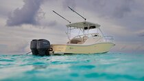 Grand Cayman Private Custom Boating Adventure
