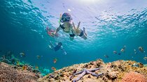 Half day Tropical Coral Island Snorkeling Tour from Phuket