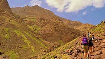 Discover Atlas Mountain River tour & Hiking Adventure - Marrakesh