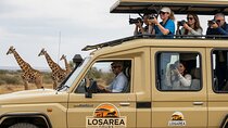 Luxury Tanzania Safari with Expert Guides and Custom Itineraries