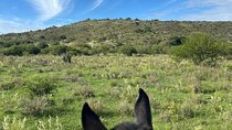Exclusive All Inclusive Horseback Expedition in Córdoba