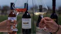 Volcanic Elegance-3 Winery Tour with Wine Tastings & snacks