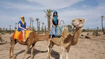 Two Hour Camel Ride in Palmeraie Grove with Transfer - Marrakesh