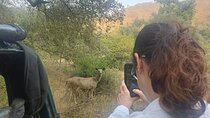 2 Days Sariska Wildlife and Heritage Escape from Delhi