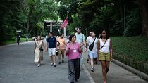 Harajuku Meiji Shrine Walking Tour in Tokyo