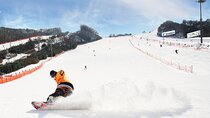 Vivaldi Park Winter Ski with Eobi Ice Valley Day Tour from Seoul