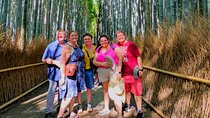 2 Hour Private Tour of Arashiyama Highlights