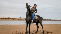 2-Hour Horseback Riding Experience & Traditional Lunch – Agadir