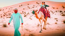 Abu Dhabi: Morning Dune Drive, Camel Ride & Sandboarding