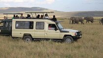 Plan Your 7-Day Maasai Mara to Amboseli Adventure