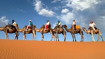 2 Days 1 Night Sahara Desert Tour from Fes To Fes Or Marrakech