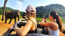 All Inclusive Private Safari at Habarana Park (Pick-up Included)