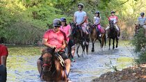 Ephesus Horse Safari Tour from Kusadasi with Turkish Lunch