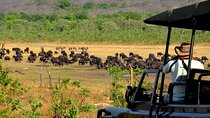 Zambezi National Park Game Drive Unspoiled Wilderness & Wildlife