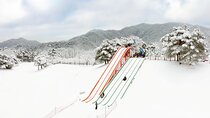 Strawberry Picking, Winter Sled with Eobi Ice Valley from Seoul