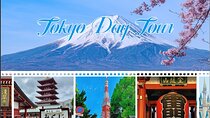 Tokyo Customizable Private Tour with Private Driver（10 hours)