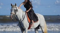 Sunrise Bali Horse Riding Sanur Beach Experience 