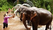  Wildlife Expedition: Elephant Sanctuary, Kbal Spean Banteay Srei