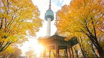 South Korea: N Seoul Tower Observatory Ticket