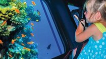 Hurghada: Paradise Conquest Semi-Submarine & Snorkeling Trip