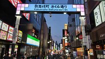 Tokyo Kabukicho Tour & Dinner Party - for Adults Only 