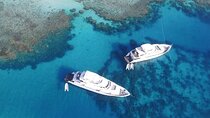 Full-Day Snorkeling Tour with Transport and Lunch from Hurghada