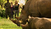 7 hour Experience in Ziwa Rhino Sanctuary