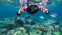 Snorkeling at Blue Lagoon Bali with Shared Transfer and Lunch