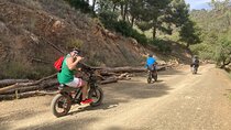 10 Hour E-FAT Bike Rental to Discover Málaga at Your Pace