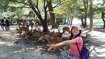 Nara Day Trip with Deer Park & Historic Temples,Shrine from Osaka