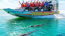 MIAMI: Everglades Airboat, Wildlife Gator Show and Pick-up