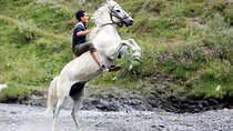 Horse Migration Exclusive Tour From Tusheti To Vashlovani