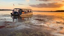 Eco Adventure Scenic Wildlife Boat Cruise