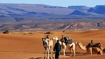 2 Days Excursion into Zagora flat Desert