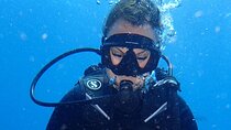 Experience Bali Scuba Dive Adventure for Beginner