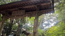 Tokyo’s Mt. Takao Hike