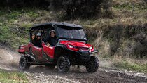 Queenstown: Mountain Express – Ride Along Buggy Tour