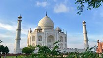Day Trip to Taj Mahal at Sunrise from Delhi & Breakfast in Oberoi Amar Vilas