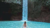 Bali Charter Tour Waterfall, Temple and Rice Fields