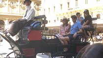 Medieval Carriage Ride with Horses and Local Tour Guide